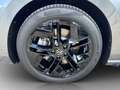 Volkswagen Passat Variant 2.0 TDI DSG 4Motion R-Line DCC AHK*STHZG*PANO*H... Grau - thumbnail 19