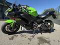 Kawasaki Ninja 650 auf A2 gedrosselt, (35kw) Verde - thumbnail 9
