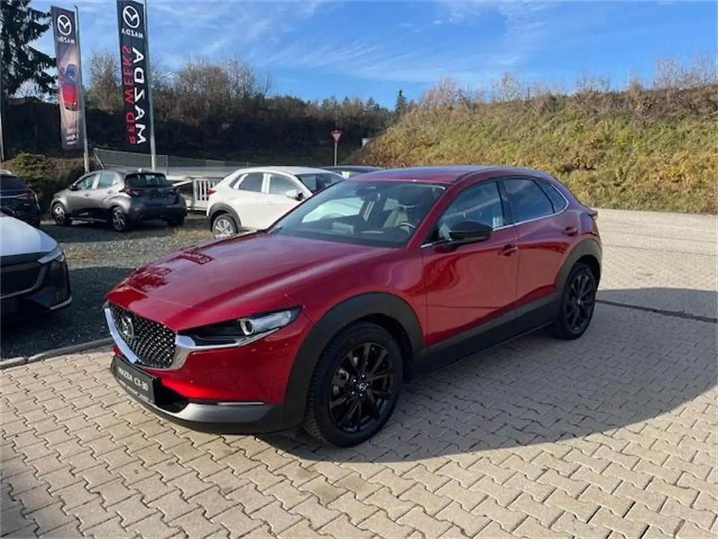 Mazda CX-30 e-Skyactive X186 Homura Jahreswagen inkl. Wi Rouge - 1