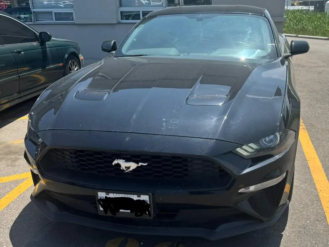2019 Ford Mustang