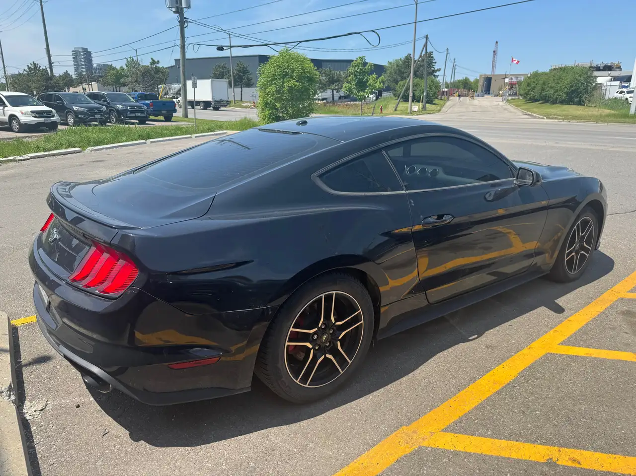 Ford Mustang fotografie Ford Mustang