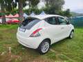 Lancia Ypsilon 1.2 69 CV 5 porte UNICO PROPRIETARIO OK NEOP. Blanc - thumbnail 7