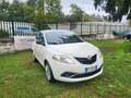 Lancia Ypsilon 1.2 69 CV 5 porte UNICO PROPRIETARIO OK NEOP. Blanc - thumbnail 1