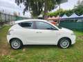 Lancia Ypsilon 1.2 69 CV 5 porte UNICO PROPRIETARIO OK NEOP. Blanc - thumbnail 8