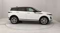 Land Rover Range Rover Evoque 2.0d i4 mhev SE awd 163cv auto Weiß - thumbnail 6