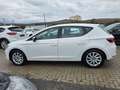 SEAT Leon Style Blanc - thumbnail 7