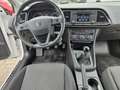 SEAT Leon Style Blanc - thumbnail 16