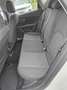 SEAT Leon Style Blanc - thumbnail 10