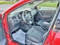 Volkswagen Polo Polo 1.2 TSI 5 porte Highline*Cerchi*Neopatentati* Rot - thumbnail 8