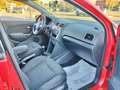 Volkswagen Polo Polo 1.2 TSI 5 porte Highline*Cerchi*Neopatentati* Rot - thumbnail 12