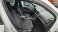 Skoda Karoq 2,0 TDI 4x4 DSG Sportline Weiß - thumbnail 16