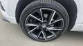 Skoda Karoq 2,0 TDI 4x4 DSG Sportline Weiß - thumbnail 24