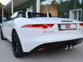 Jaguar F-Type F-Type Cabriolet Aut. S Alb - thumbnail 2