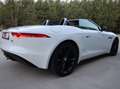 Jaguar F-Type F-Type Cabriolet Aut. S Alb - thumbnail 4