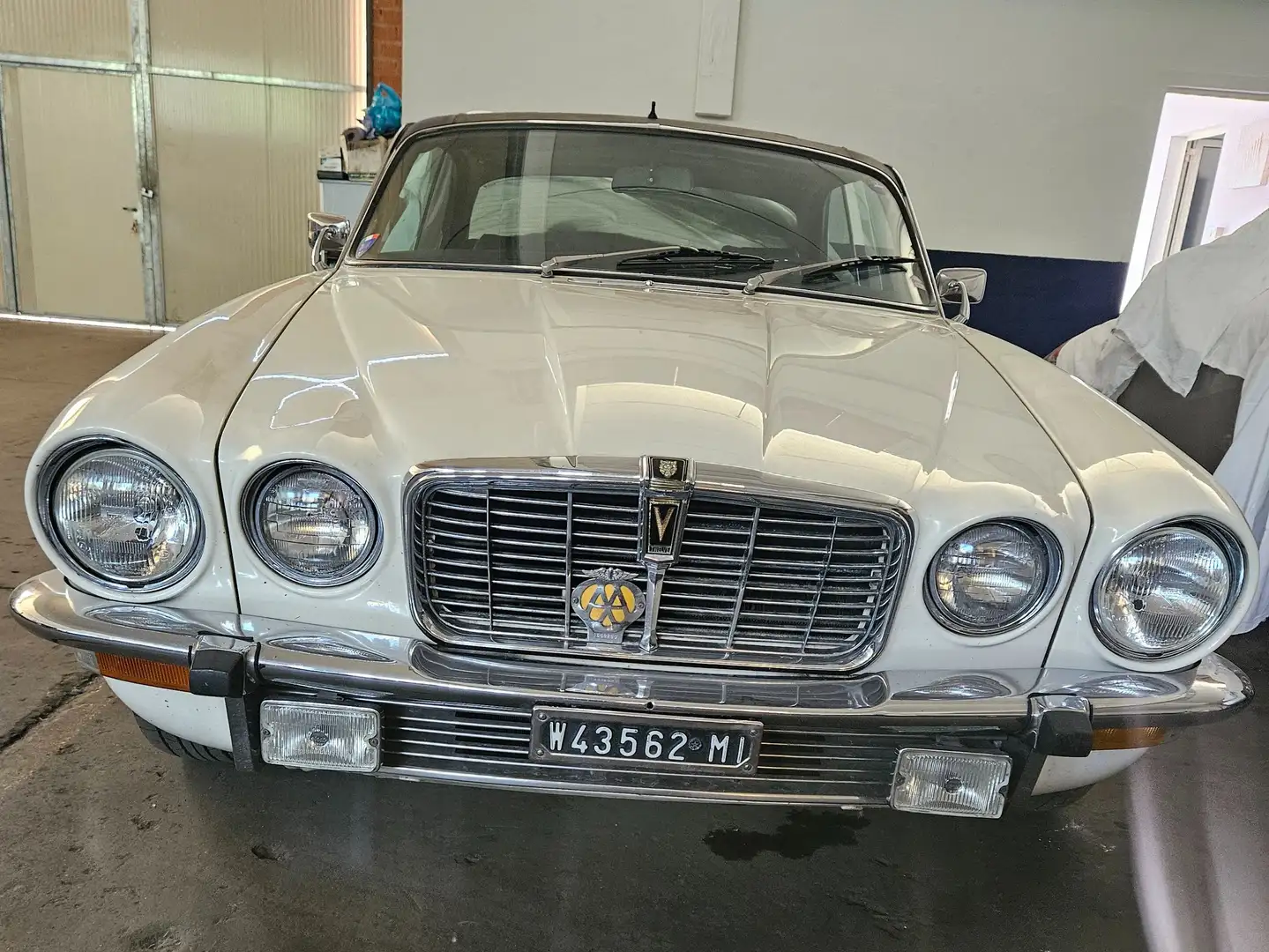 Jaguar XJ12 Xj C White - 2