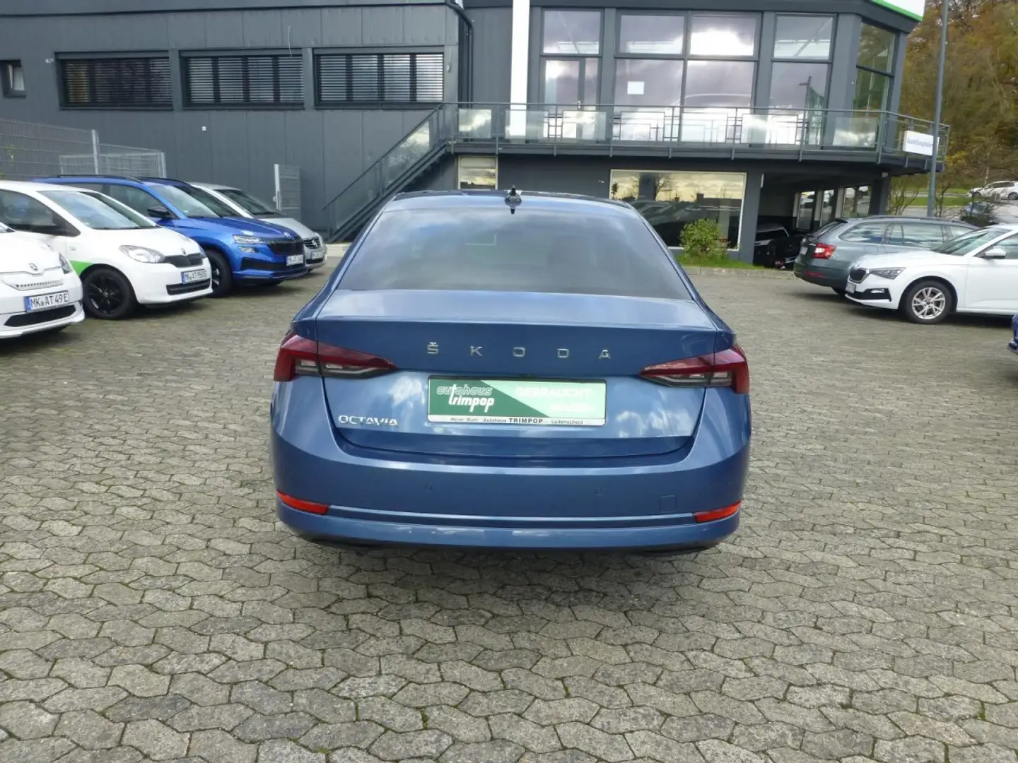 Skoda Octavia 1.5 TSI First Edition NAVI KLIMA KAM Klima Navi Blau - 2