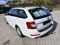 Skoda Octavia Combi 1,6 Ambition TDI 4x4 Green tec Weiß - thumbnail 5