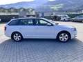 Skoda Octavia Combi 1,6 Ambition TDI 4x4 Green tec Weiß - thumbnail 9