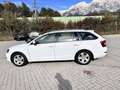 Skoda Octavia Combi 1,6 Ambition TDI 4x4 Green tec Weiß - thumbnail 4