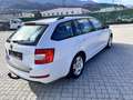 Skoda Octavia Combi 1,6 Ambition TDI 4x4 Green tec Weiß - thumbnail 6