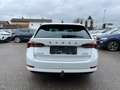 Skoda Octavia Combi 2,0 TDI Premium | HUD/AHK/18 ZOLL Weiß - thumbnail 4