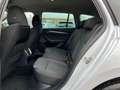 Skoda Octavia Combi 2,0 TDI Premium | HUD/AHK/18 ZOLL Weiß - thumbnail 14