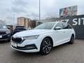 Skoda Octavia Combi 2,0 TDI Premium | HUD/AHK/18 ZOLL Weiß - thumbnail 7