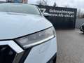 Skoda Octavia Combi 2,0 TDI Premium | HUD/AHK/18 ZOLL Weiß - thumbnail 37