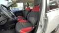 Fiat Panda NewPanda Easy 1.2 Fire 69cv Bianco - thumbnail 13