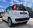 Fiat Panda NewPanda Easy 1.2 Fire 69cv Bianco - thumbnail 6