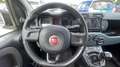 Fiat Panda NewPanda Easy 1.2 Fire 69cv Bianco - thumbnail 14