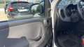 Fiat Panda NewPanda Easy 1.2 Fire 69cv Bianco - thumbnail 12