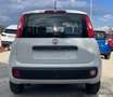 Fiat Panda NewPanda Easy 1.2 Fire 69cv Bianco - thumbnail 5
