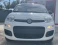 Fiat Panda NewPanda Easy 1.2 Fire 69cv Bianco - thumbnail 2