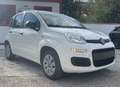 Fiat Panda NewPanda Easy 1.2 Fire 69cv Bianco - thumbnail 3