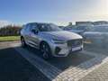 Volvo XC60 T6 Plug-in hybrid AWD Plus Dark Grau - thumbnail 19