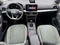 SEAT Tarraco 1.4 e-Hybrid DSG Xperience 360 DCC AHK ParkAssist Weiß - thumbnail 32