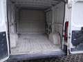 Fiat Ducato 2.3 TD 120cv L2H2 ***335 6440741*** - thumbnail 7