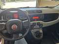 Fiat Panda 1.2 Lounge 69cv - thumbnail 17