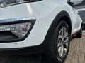 Kia Sportage Dream Team 2WD Android Auto Weiß - thumbnail 7