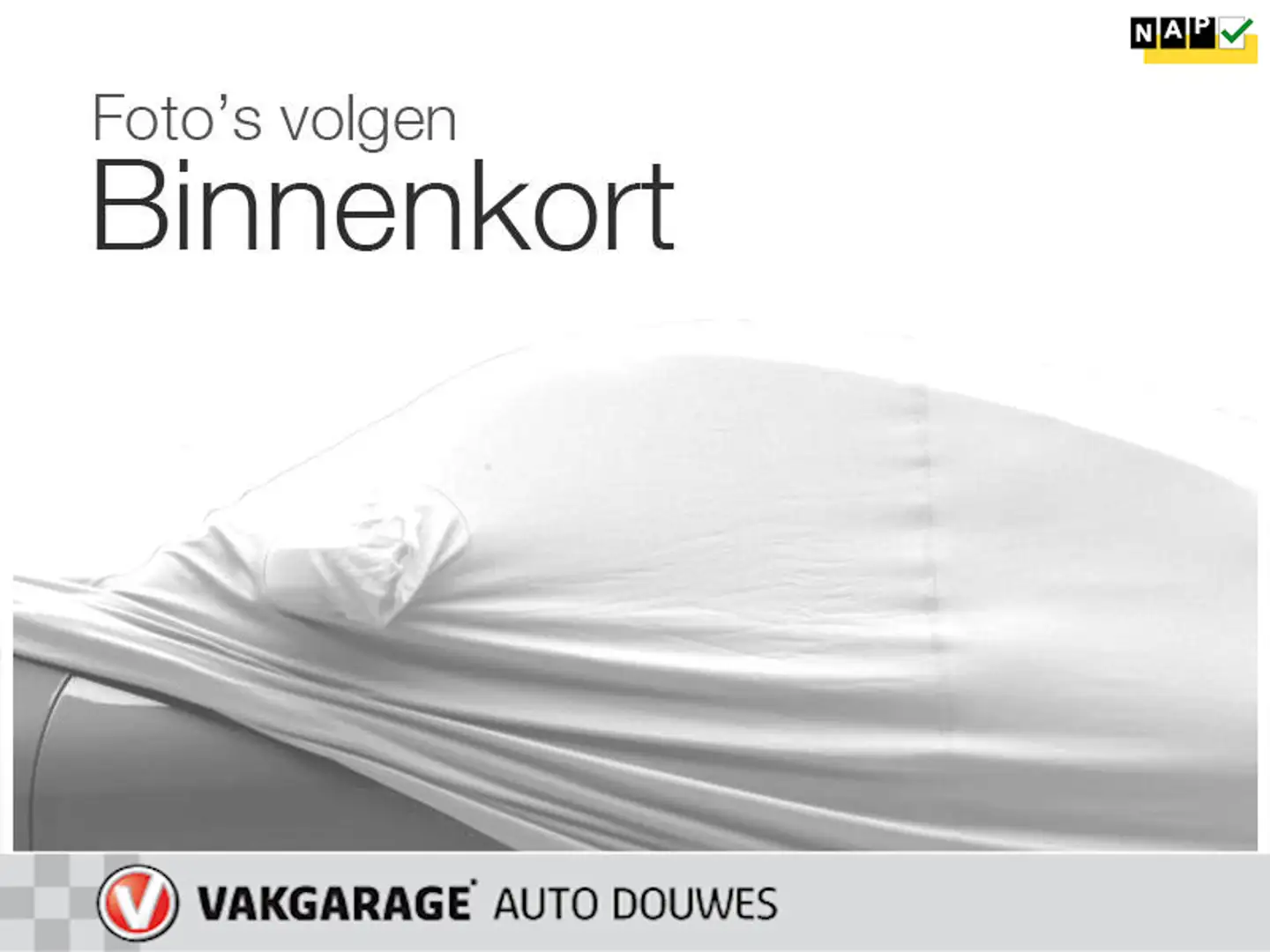 Tesla Model Y Long Range AWD 75 kWh |NAP |1e eigenaar |BTW|Trekh Rood - 1