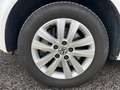 Volkswagen T5 Multivan Cup 4Motion TDI|LEDER|EXPORT|7 SITZE Weiß - thumbnail 7