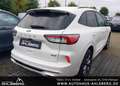 Ford Kuga PLUG-IN HYBRID/ST-LINE/ ACC/AHK/LED/HUD/KEYLESS/18 Weiß - thumbnail 3