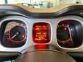 Fiat Panda 4x4 0.9 t.air t. Cross 90 cv Grigio - thumbnail 14
