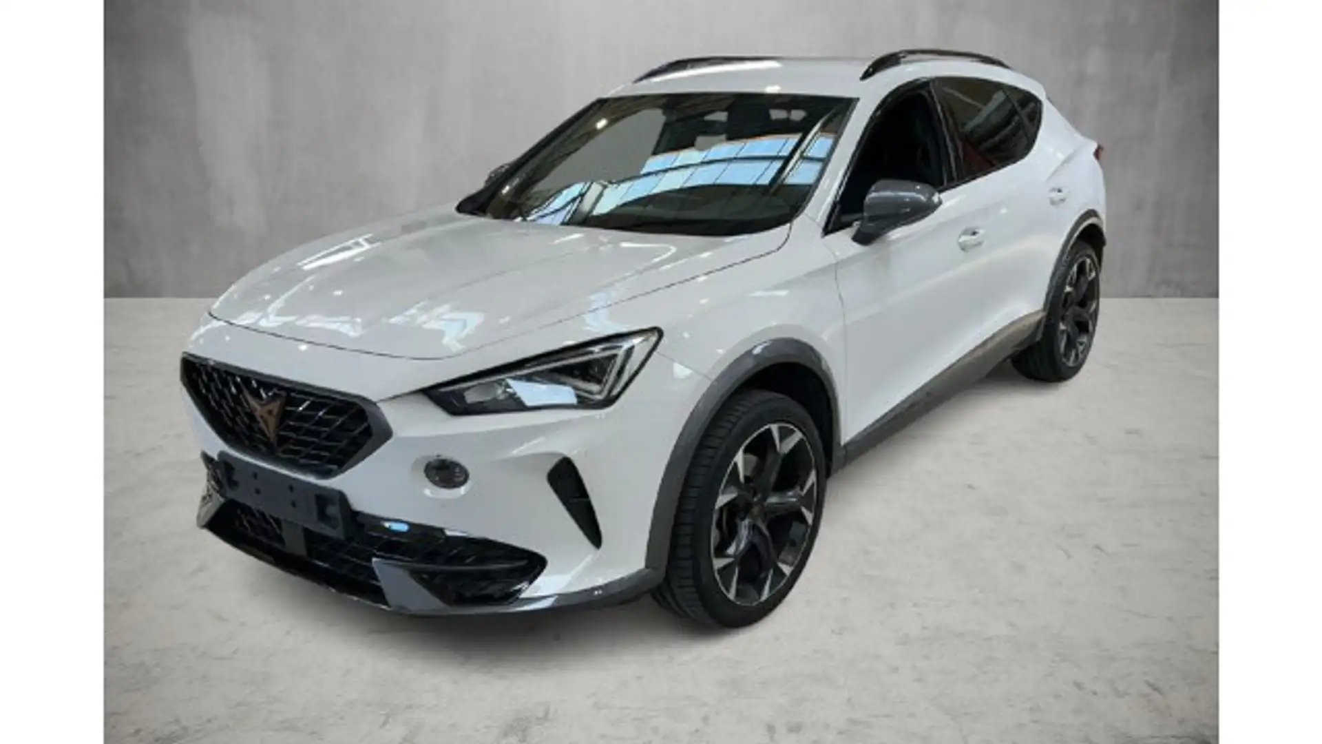 CUPRA Formentor 1.5 TSI DSG LM19 ASSIST KAMERA Weiß - 2