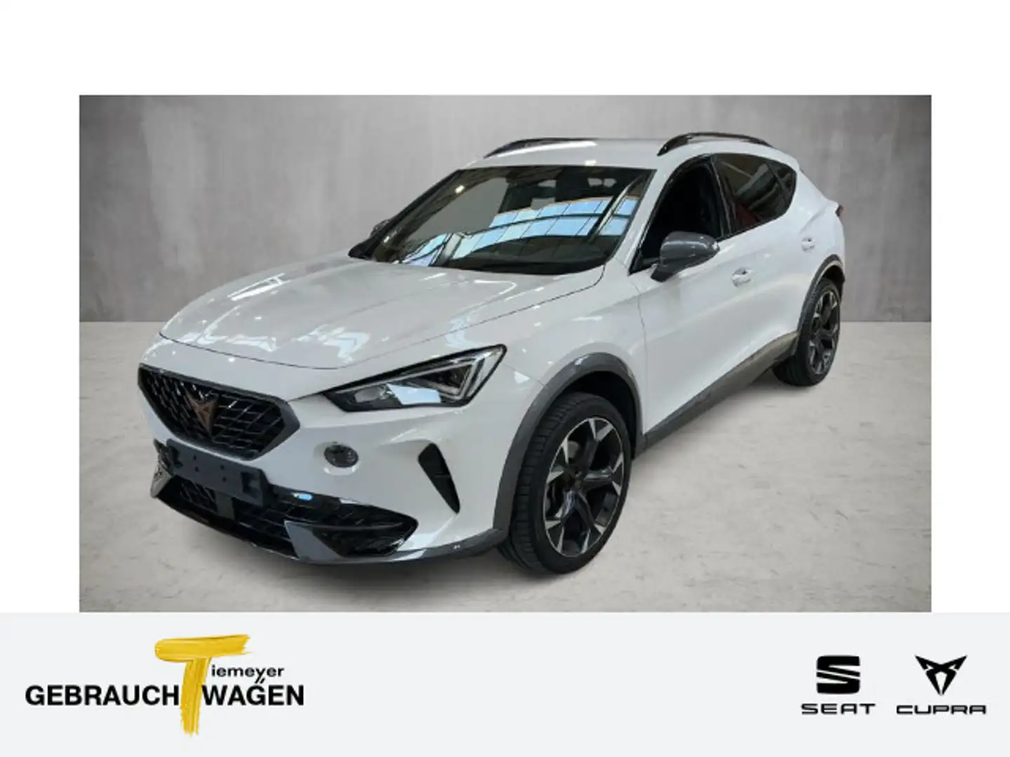 CUPRA Formentor 1.5 TSI DSG LM19 ASSIST KAMERA Weiß - 1