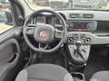 Fiat Panda 1.2 Easy Blau - thumbnail 5