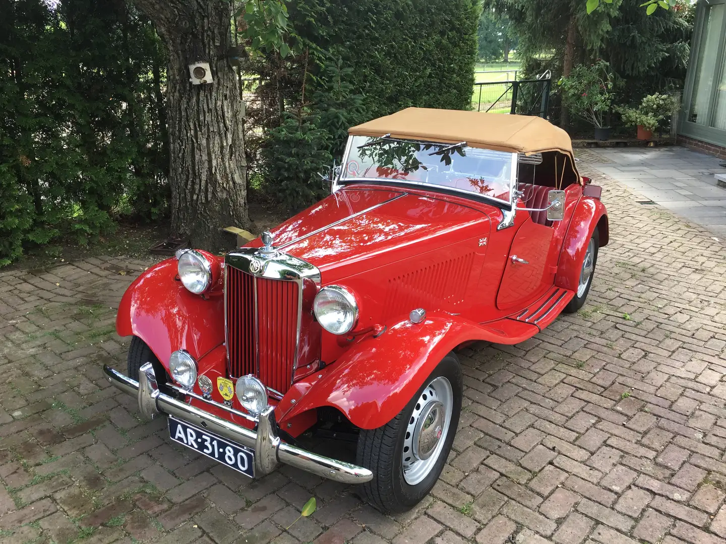 MG TD roaster Roşu - 1