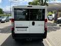 Peugeot Boxer 2.2 HDi (330) Kasten TÜV Neu! Wit - thumbnail 5