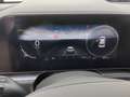 Kia Niro Inspiration,Navi,PDC,LED,LHZ,Spurwechselassistent, Grau - thumbnail 12